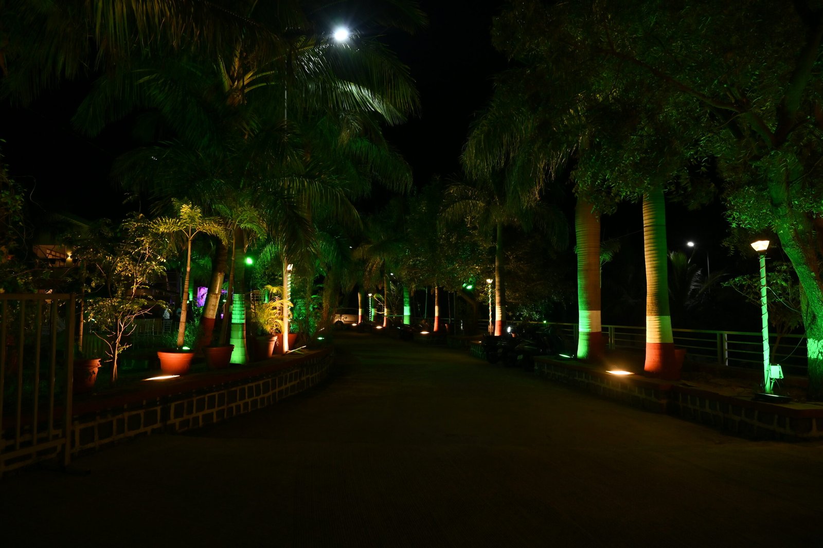 DSC_2730 (1)